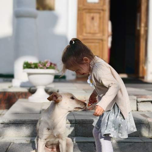 Детская радость. Child\'s joy.