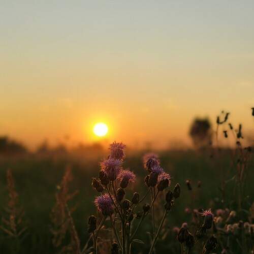 Photo #12457596