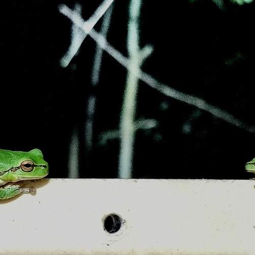 Photo #12457715