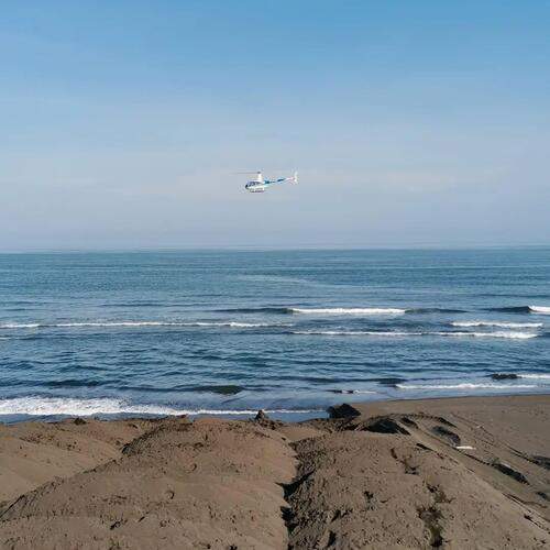 Photo #12457746