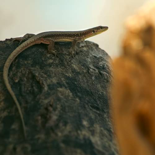 Photo #12457756