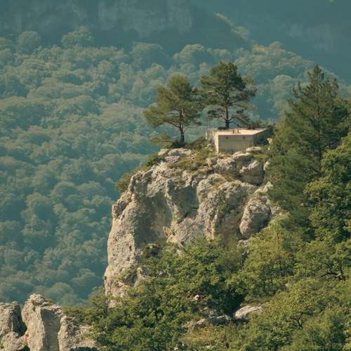 Photo #12457771