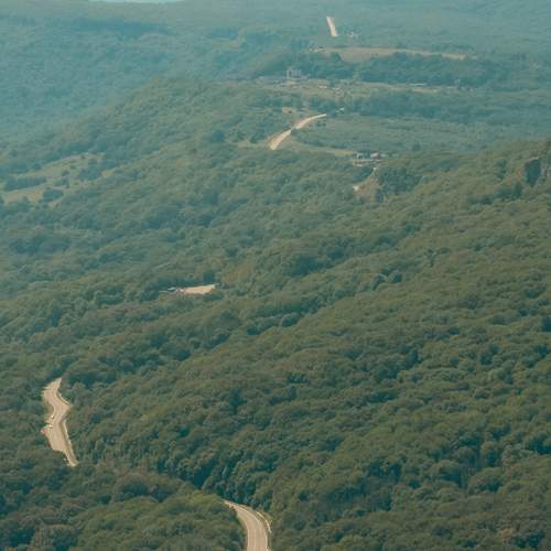 Photo #12457777