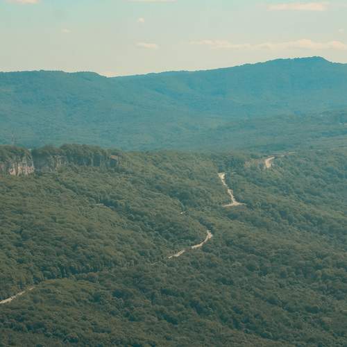Photo #12457778