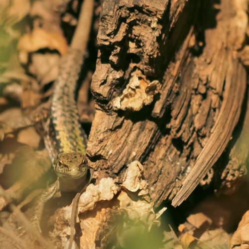 Photo #12457783