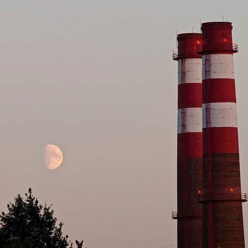 Photo #12457865