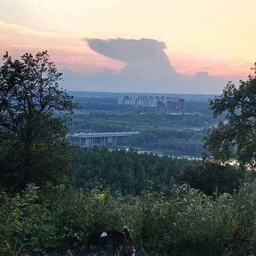Photo #12457989
