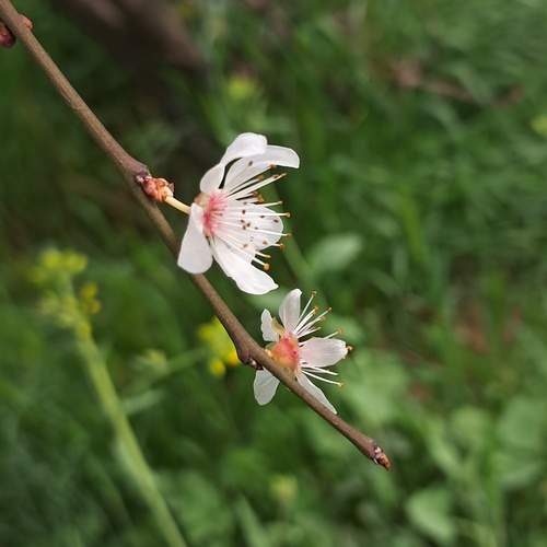 Photo #12458509
