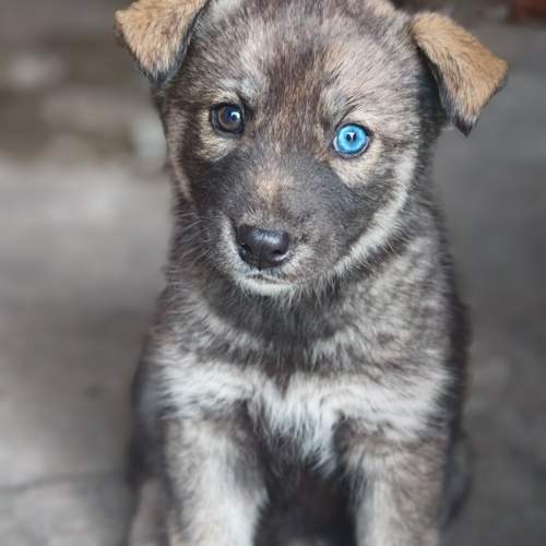 Photo #12459694