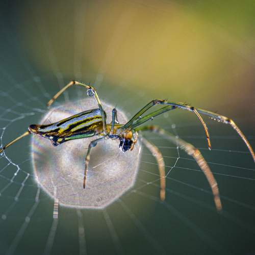 Photo #12459769
