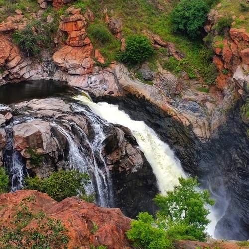 Nature’s Untamed Symphony