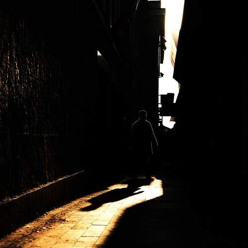 Photo #12460051