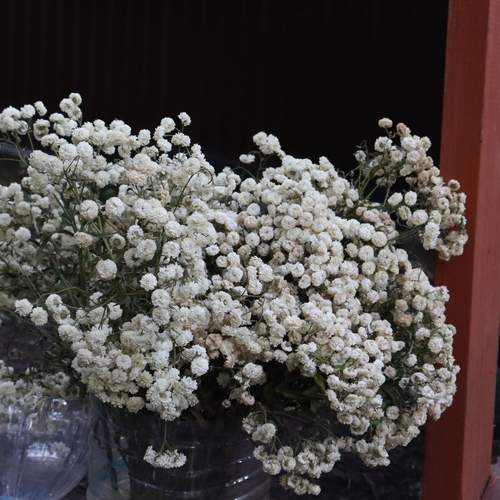Photo #12460363