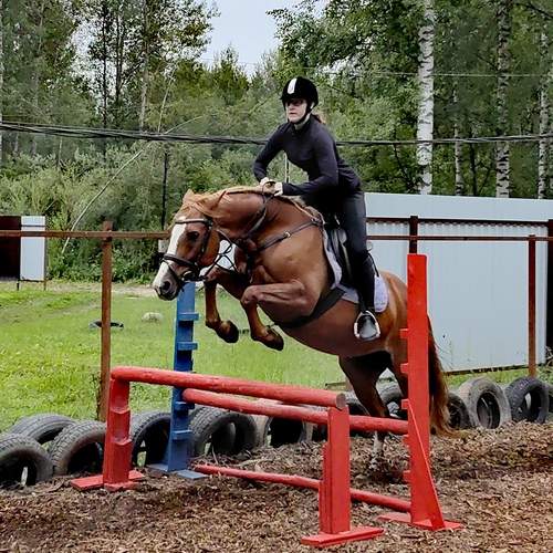 Photo #12460918