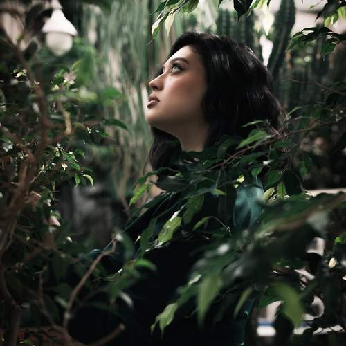 Photo #12461006