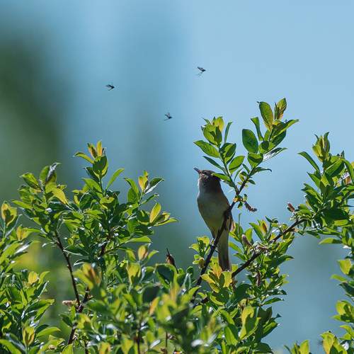 Photo #12461047