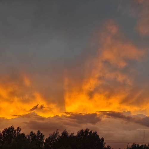 Photo #12461185