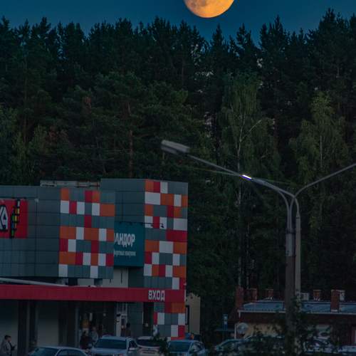Photo #12461223