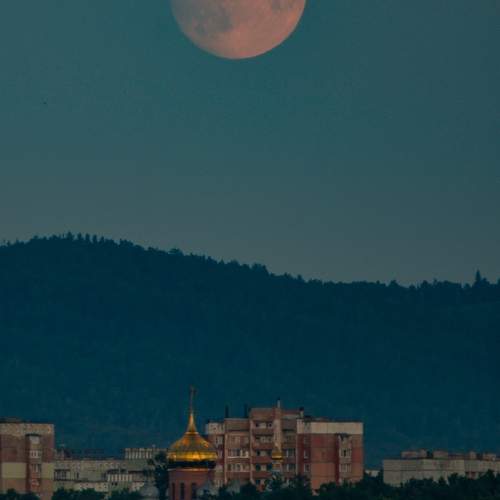 Photo #12461232