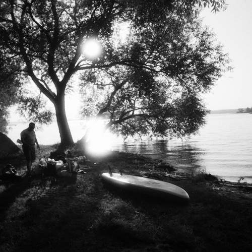 Photo #12461577