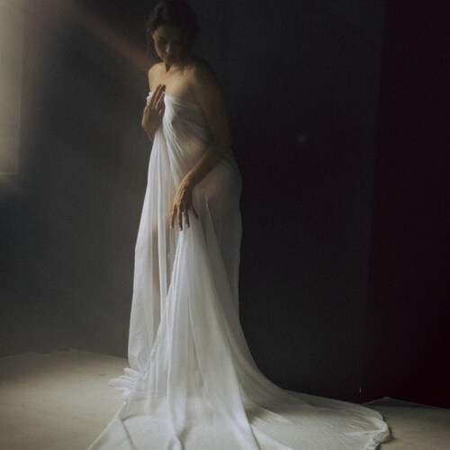 Photo #12461670
