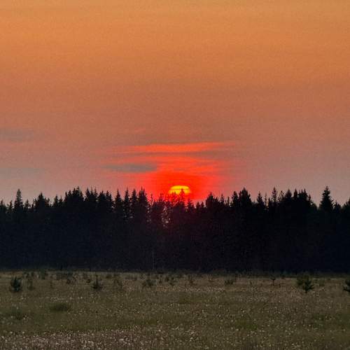 Photo #12461769