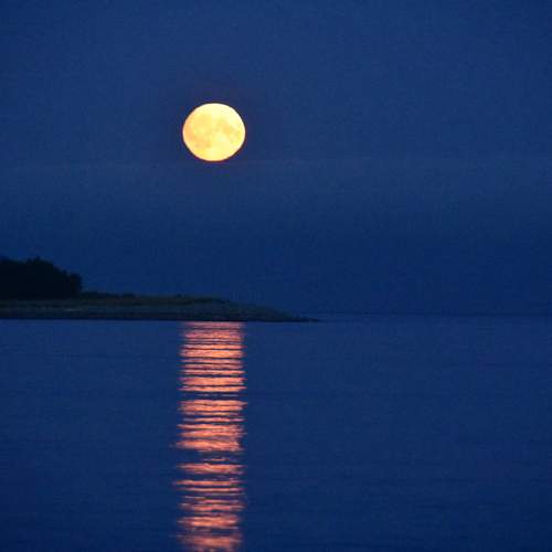 Photo #12462006
