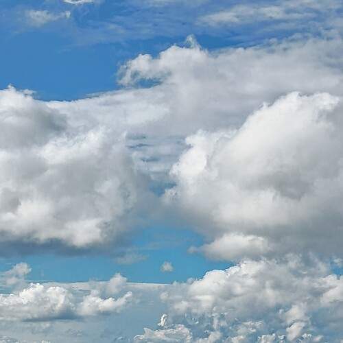 Photo #12462174