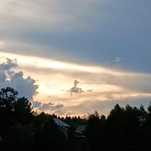 Photo #12462195
