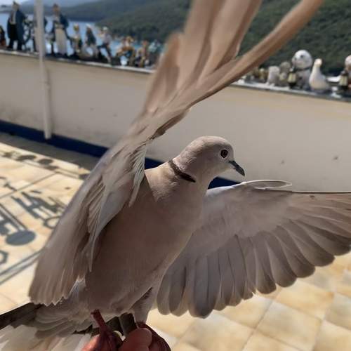 Photo #12462214