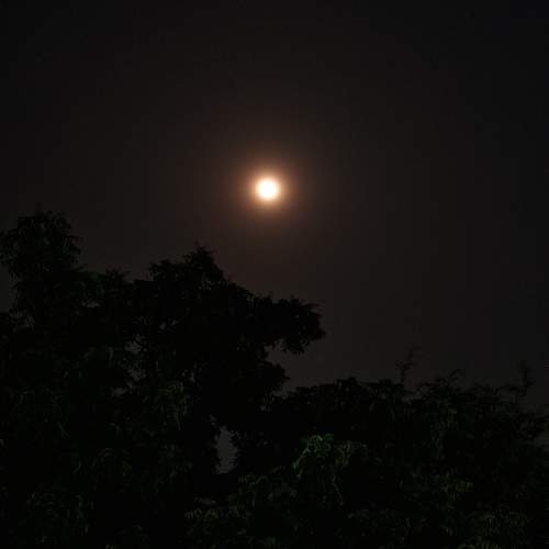 Photo #12462267