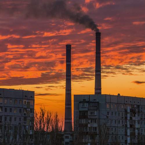 Photo #12462269