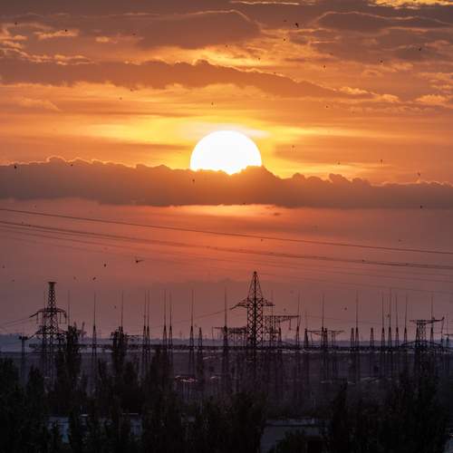 Photo #12462310