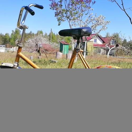 Photo #12462360