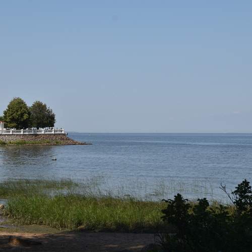 Photo #12462677