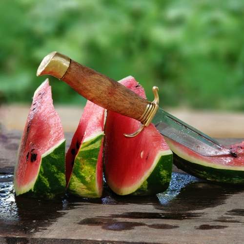 Photo #12463046