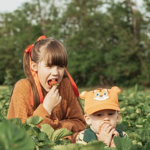 Photo #12463635