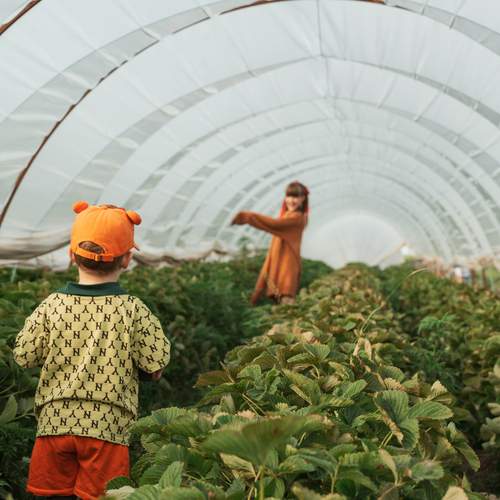 Photo #12463636