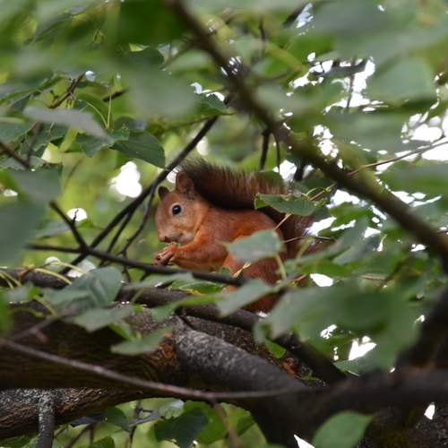 Photo #12463665