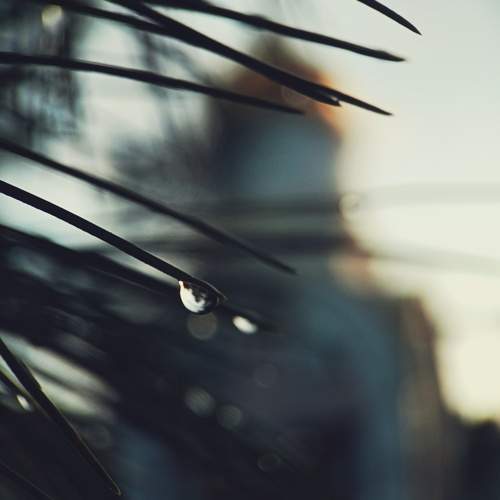 Photo #12464066