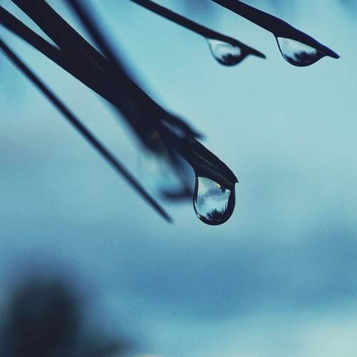 Photo #12464067