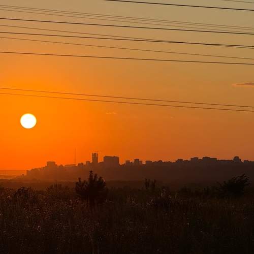 Photo #12464598