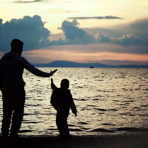 Photo #12464619