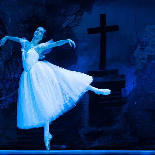 Photo #12464914