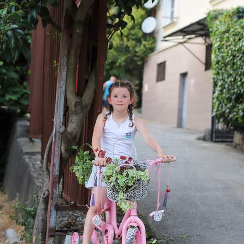 Photo #12465282