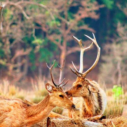 Photo #12465373
