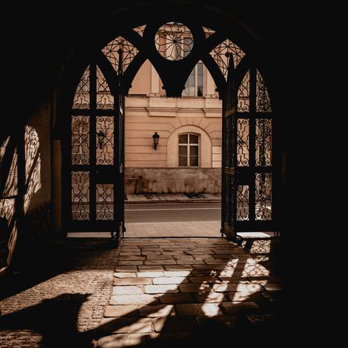 Photo #12465488