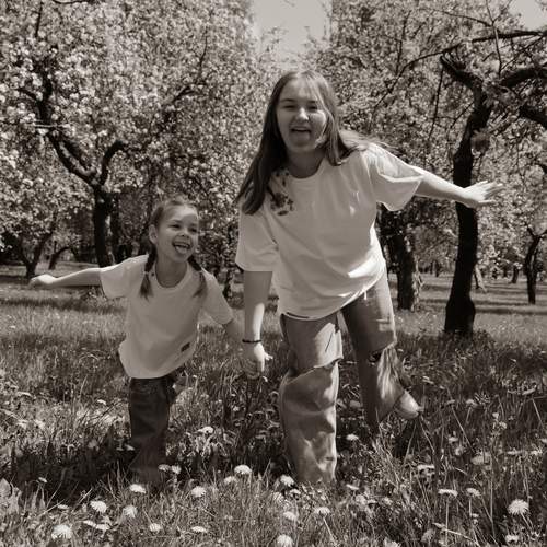 Photo #12466348