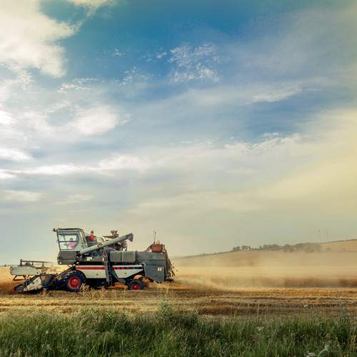 Фотография #12466355