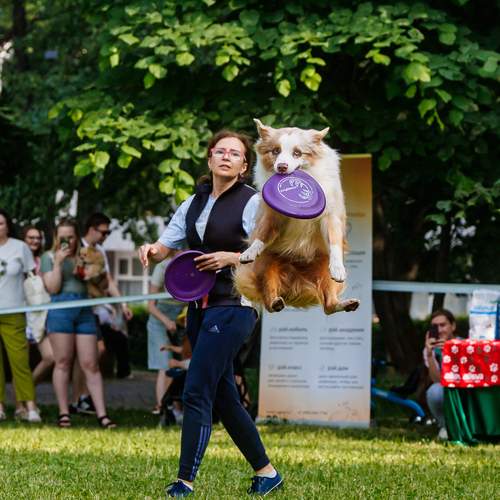Photo #12466639